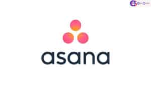 Asana Mobile App